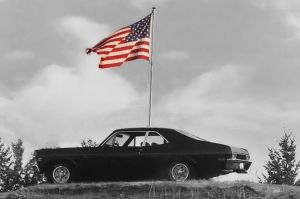 American Beauty_blackwhite.jpg